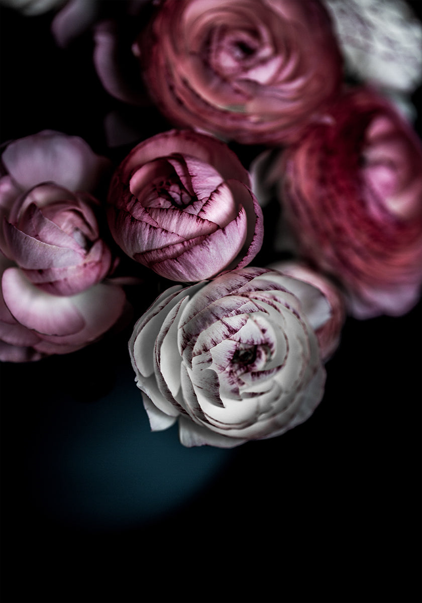 Dunkle Blumen 2