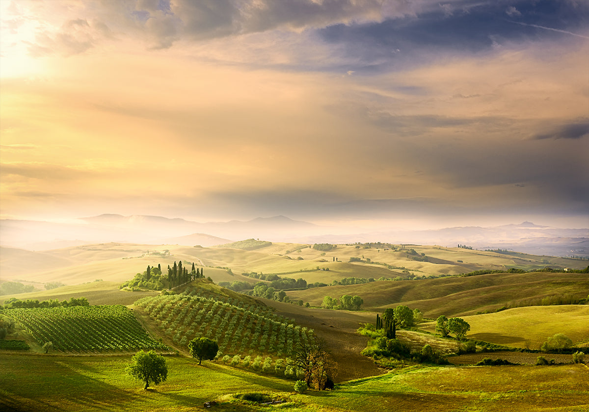 Podere Belvedere's Sonnenaufgang