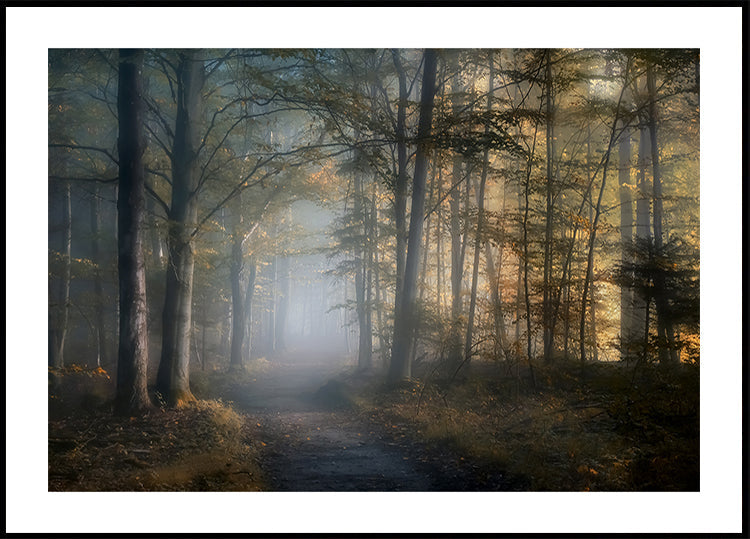 Poster zur Herbstsymphonie