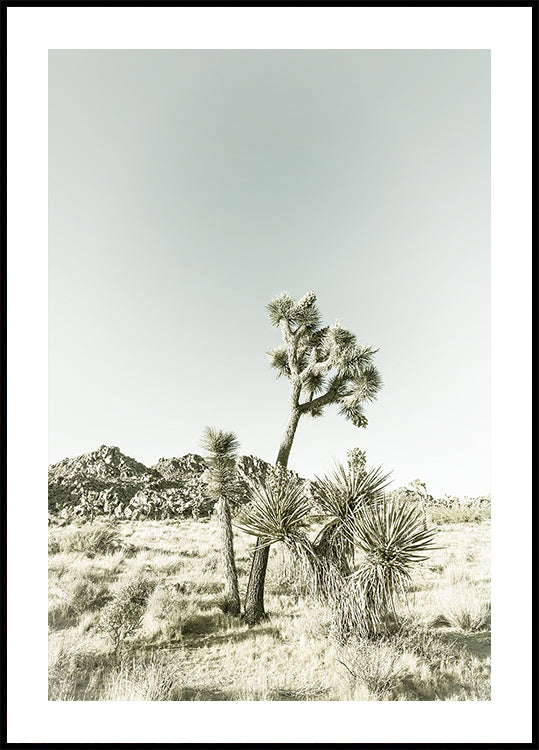 Joshua-Tree-Nationalpark-Vintage-Impression-Poster