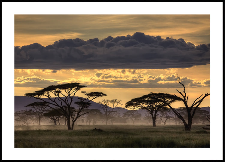 Guten Abend Tansania