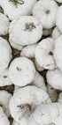 White Pumpkins Harvest Plakat - Posterbox.dk