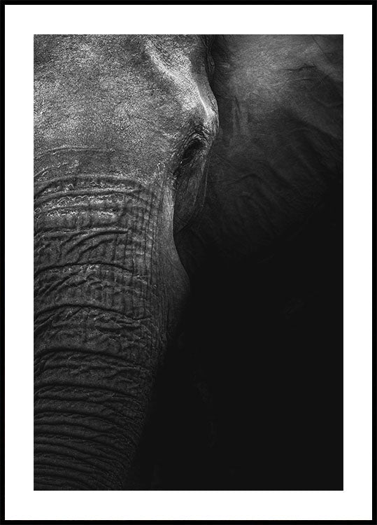 Elephant Plakat - Posterbox.dk