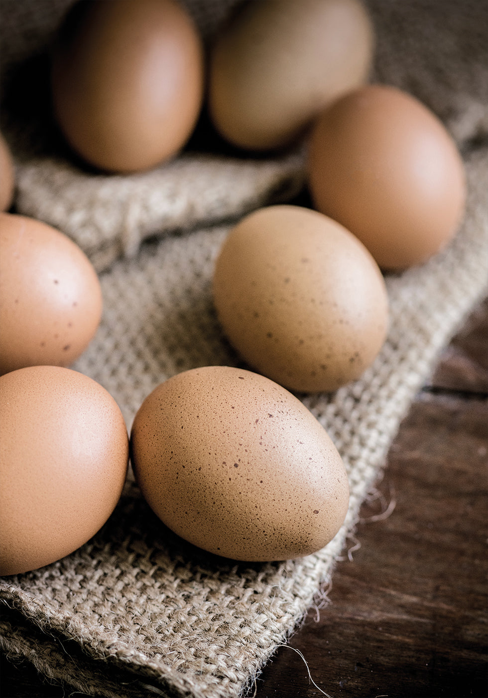 Brown Organic Eggs Plakat - Posterbox.dk