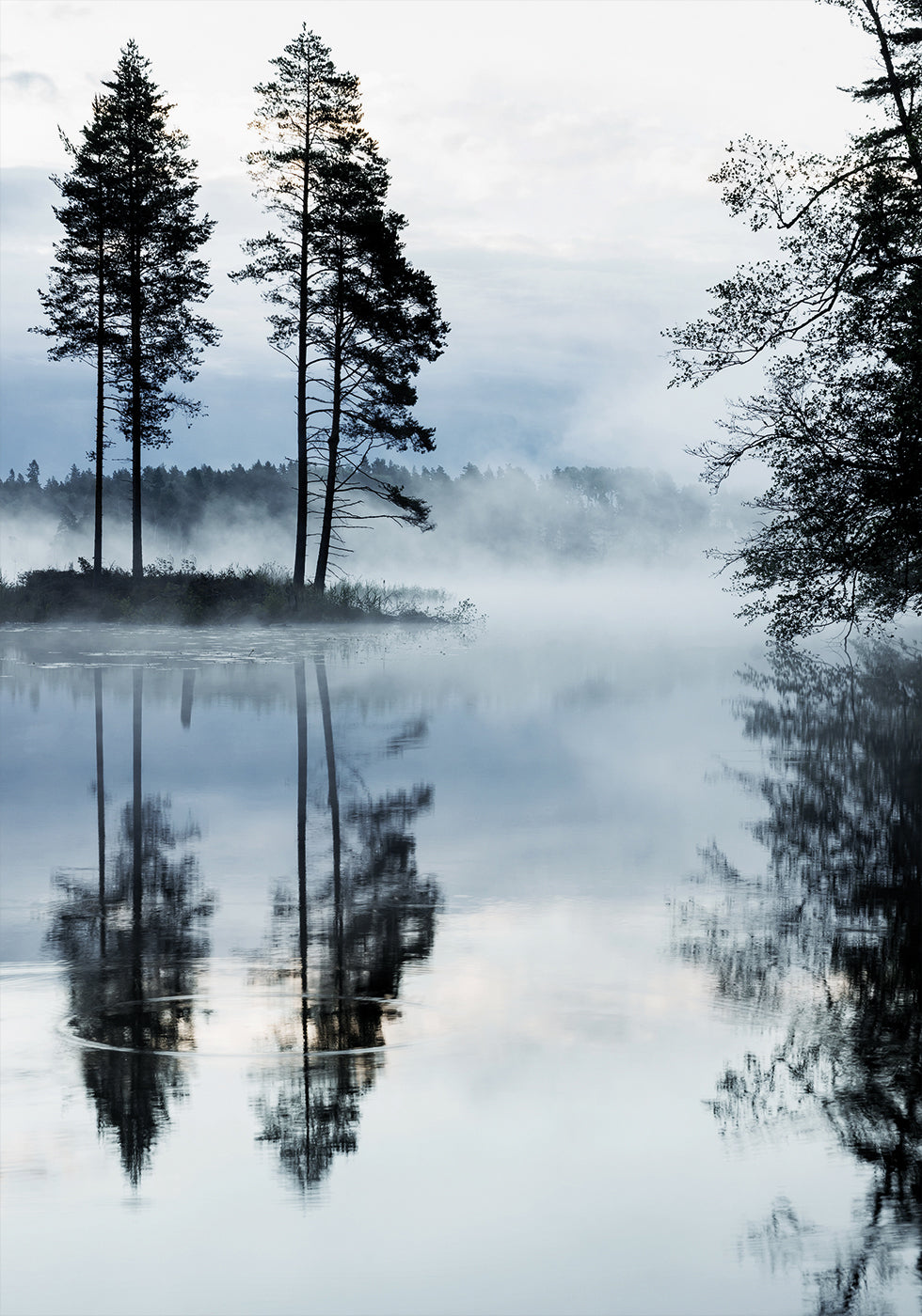 Misty Forest Morning Plakat - Posterbox.dk