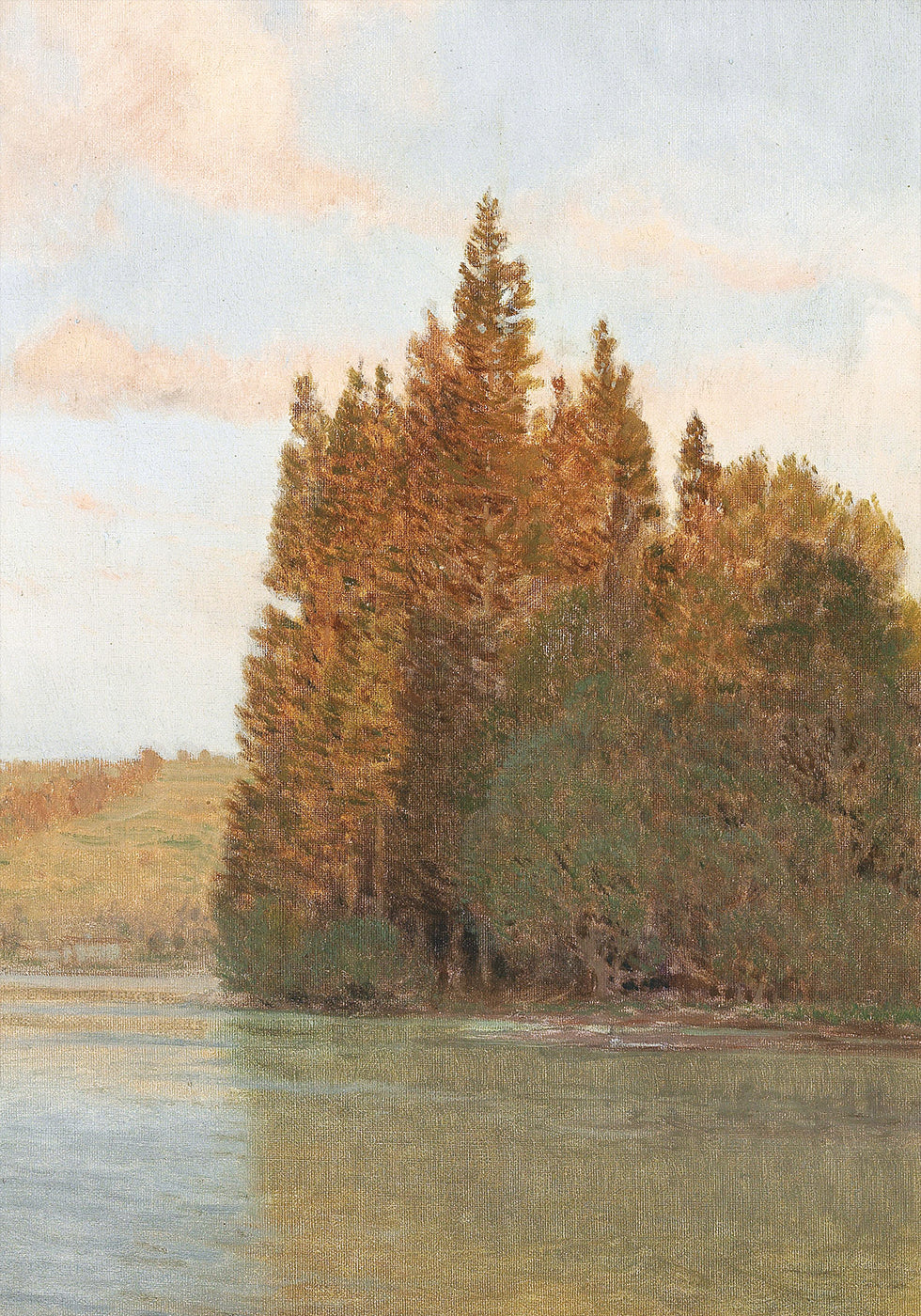 Morning Reflections Plakat - Posterbox.dk