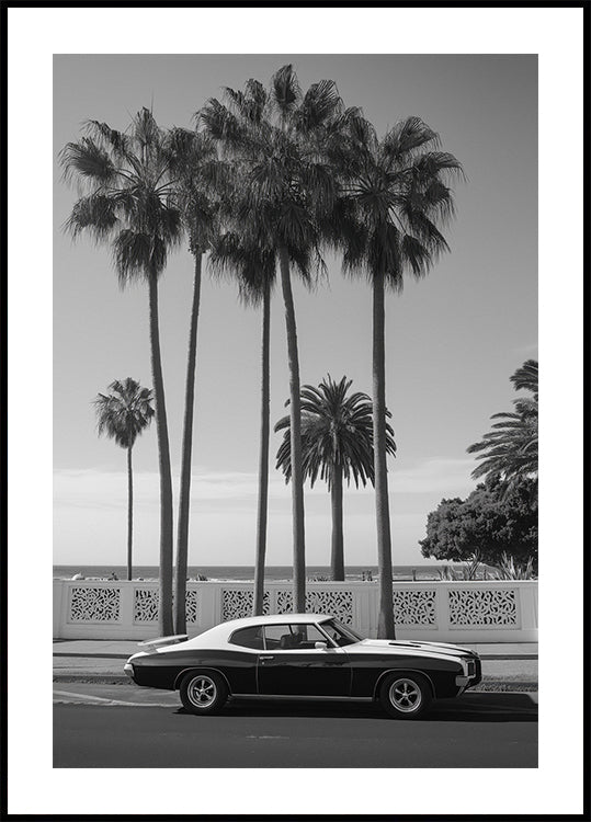 4 036 Topaz Plakat - Posterbox