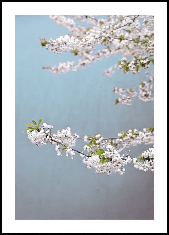 Colorful Spring 14 (NEW) - Posterbox