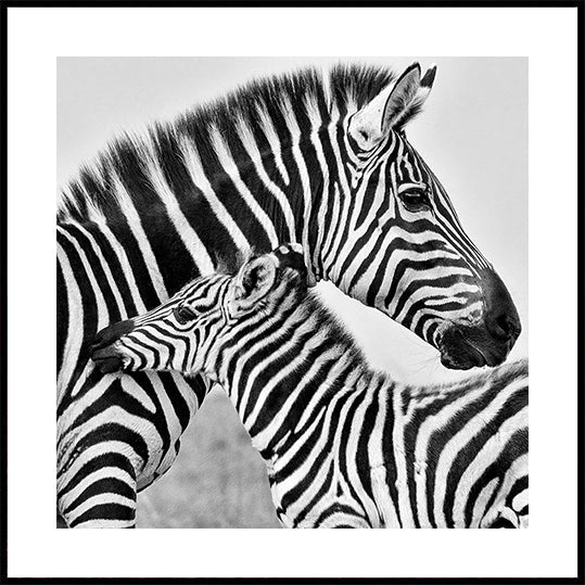 Love (NEW) - Posterbox