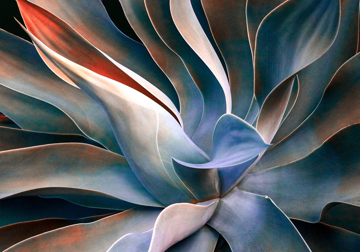 Die Farben der Blätter Poster