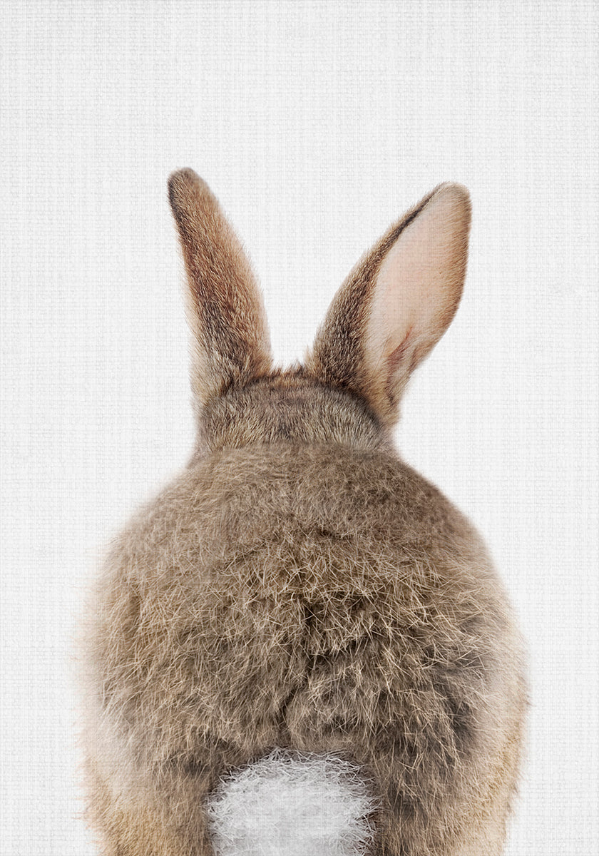 Peekaboo Bunny Tail Poster