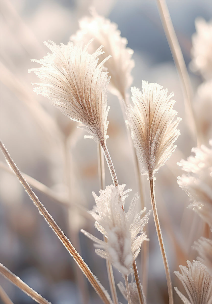 Mattiertes Eleganz-Poster