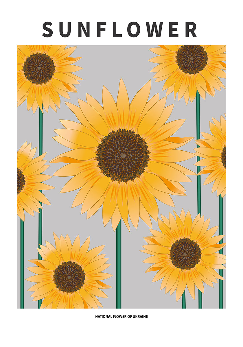 Sonnenblume - Nationalblume und Ukraine-Poster