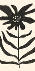 Monochrome Blossom (NEW) - Posterbox
