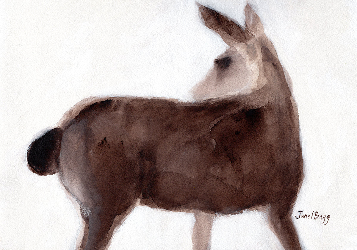 Hirsch auf Creekside Lane-Poster