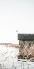 Wooden Cabin by Lake Plakat - Posterbox.no