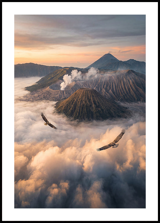 Eagles Fly Free (NEW) - Posterbox