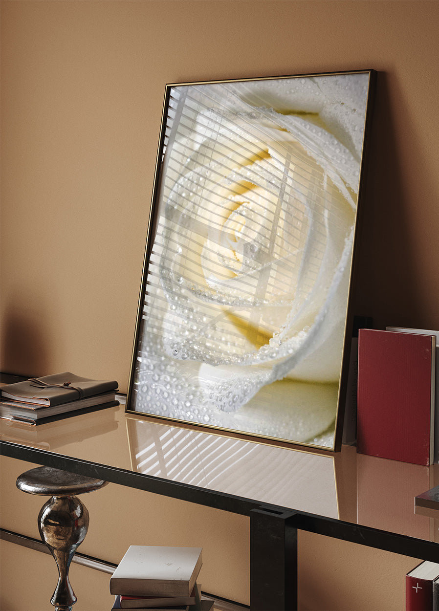 Rose Dew Plakat - Posterbox.no