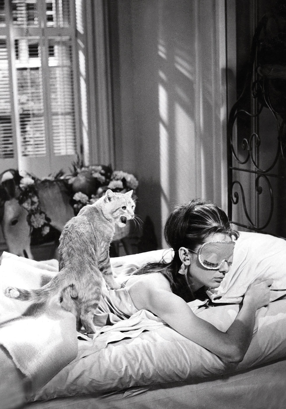 Audrey Hepburn schläft mit Katze Poster 