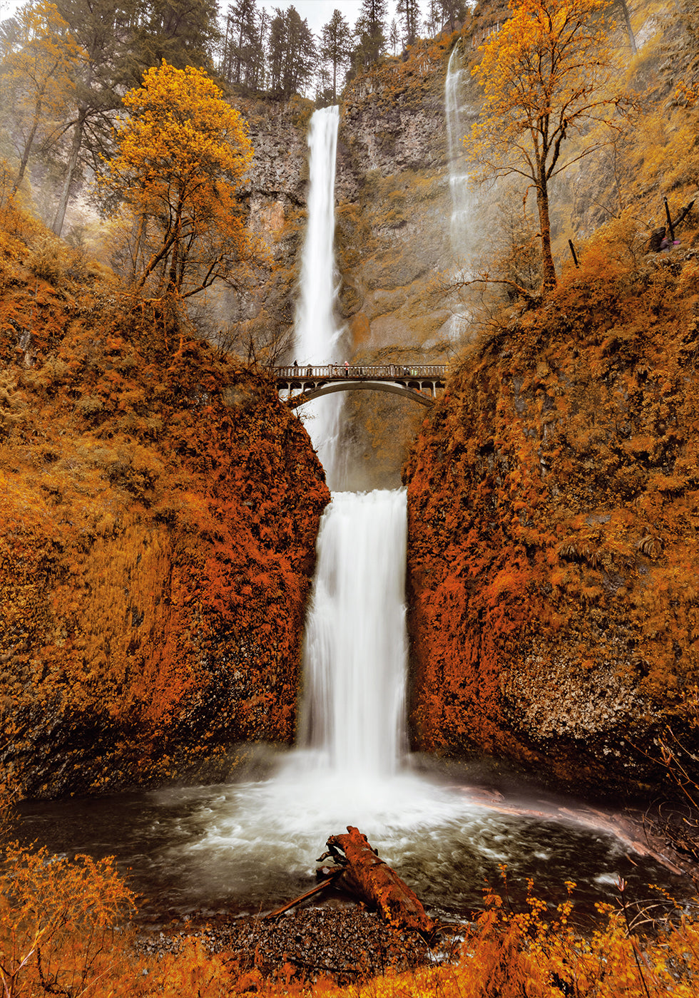 Poster Herbst-Wasserfall im Wald 