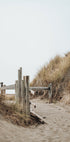 Beach Entrance Plakat - Posterbox.dk