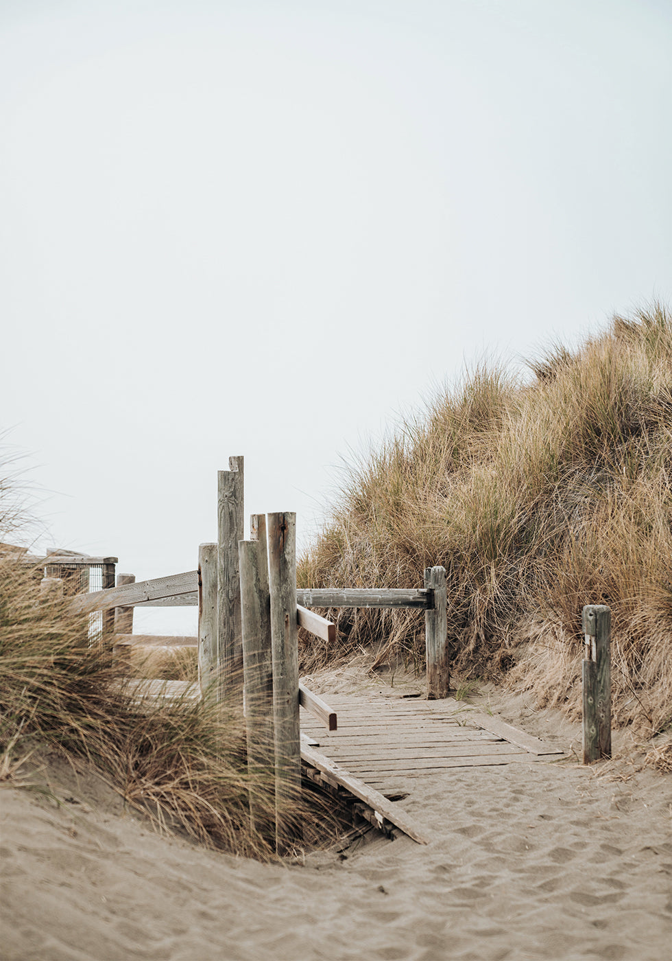 Beach Entrance Plakat - Posterbox.dk