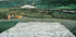 Flower Meadow in the North By Harald Sohlberg Plakat - Posterbox.dk