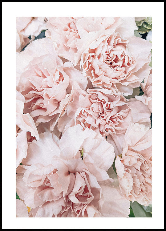 Peony Plakat - Posterbox.dk
