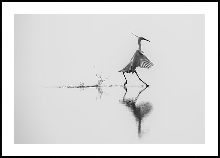 Poster „Tanzen auf dem Wasser“.
