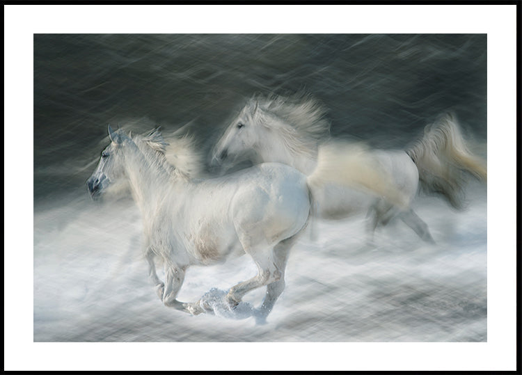 Galopp im Duell Poster