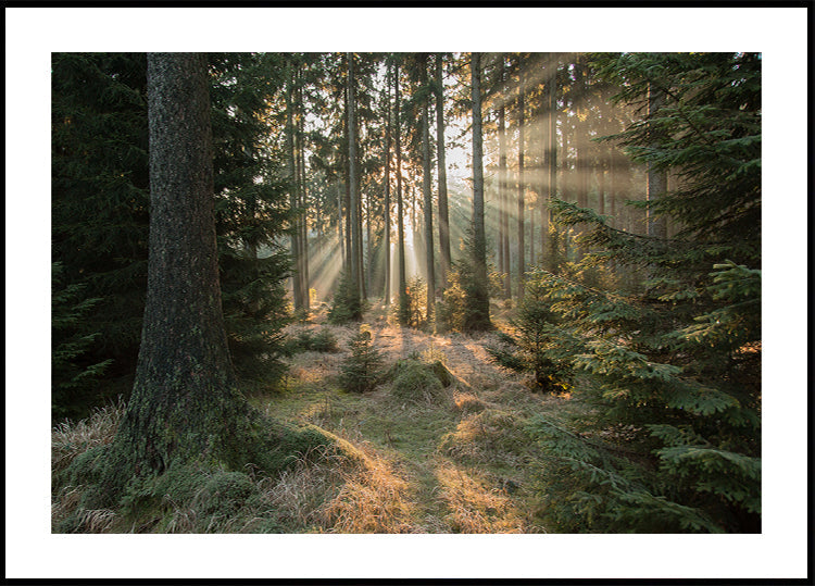 Strahlen, Teil 2 Poster