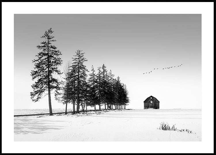 Ein sonniges Wintertagesplakat