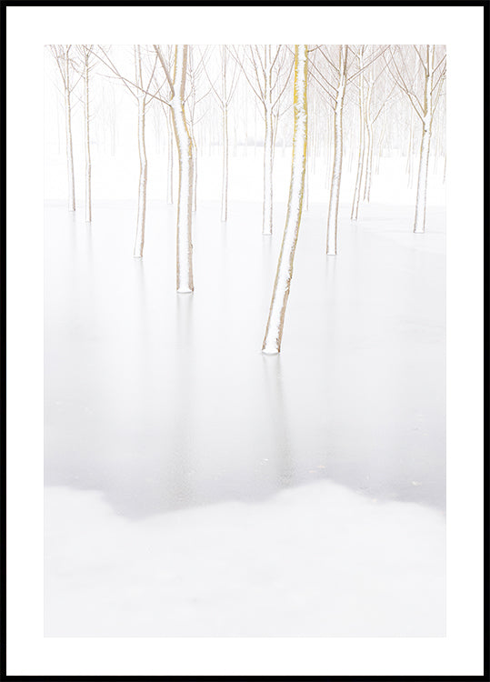 Winterreflexionsplakat