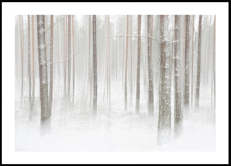 Winterforest in Sweden Plakat