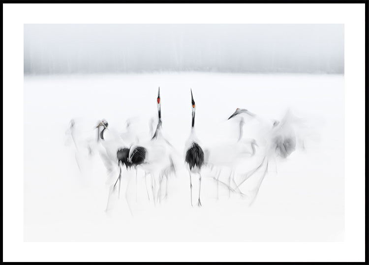 Kalligrafisches Ballett-Poster