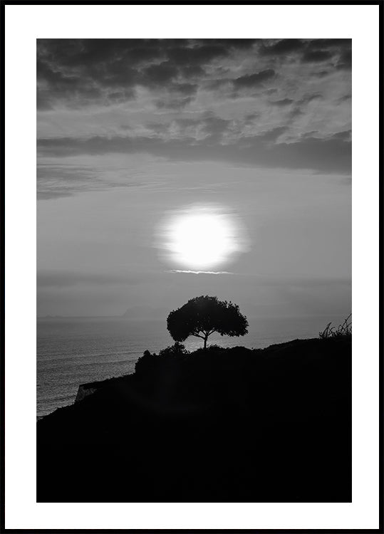 One Tree At Sunset Plakat - Posterbox.dk