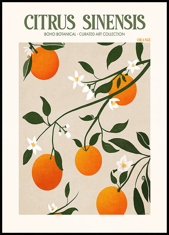 Orangefarbenes Eleganz-Poster