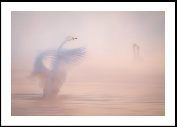 The ephemerality of distant love... Plakat