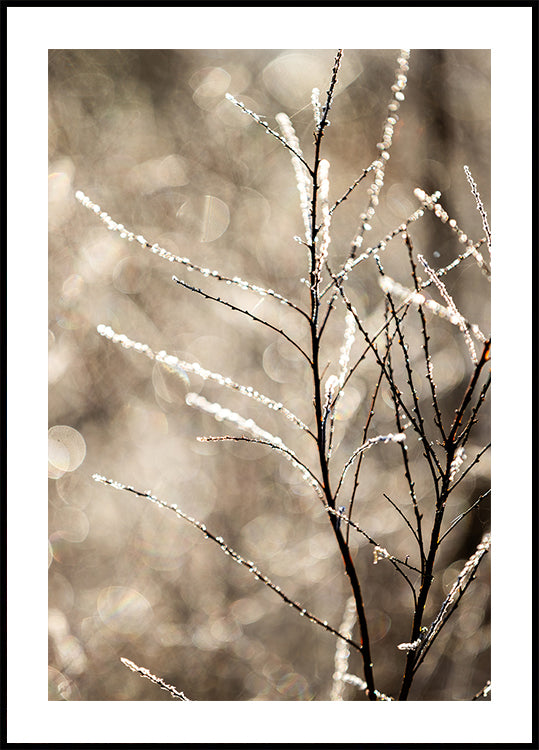 Ein Wintermorgen-5-Poster