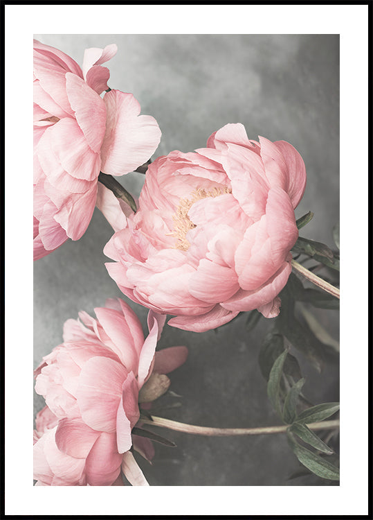 01643 Plakat