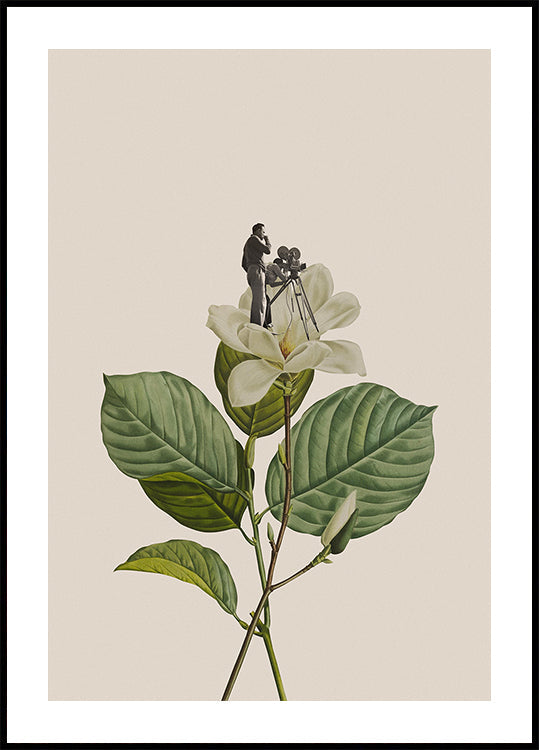 Botanisches Vintage-Kameramann-Poster