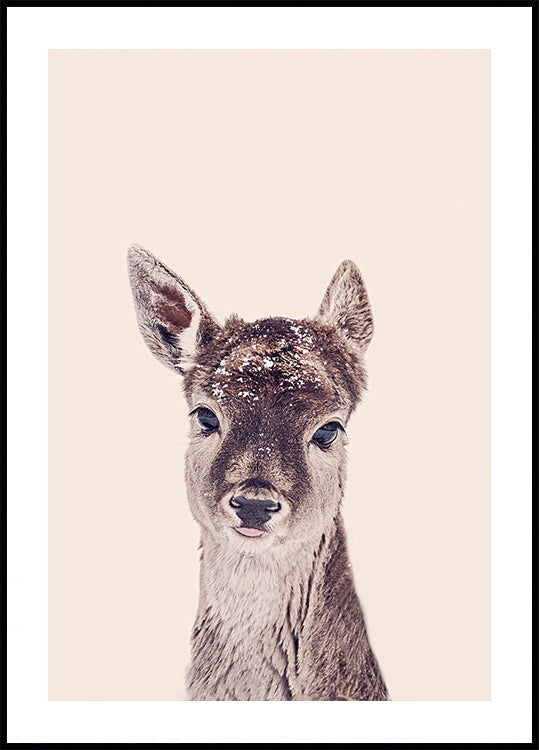 Fawn Rosé Beige Plakat