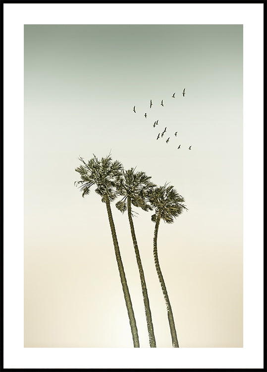 Vintage minimalistisches Poster mit Palmen und Sonnenuntergang