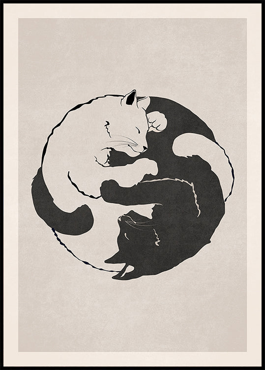Katzenharmonie-Poster