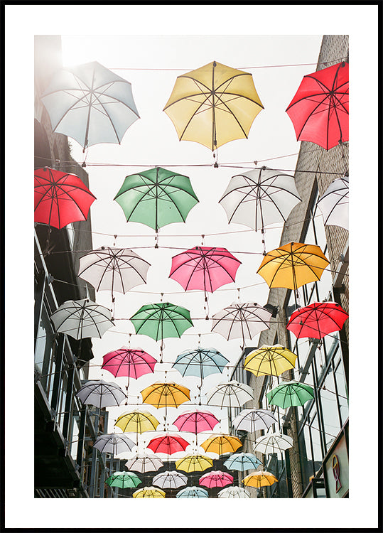Regenschirme