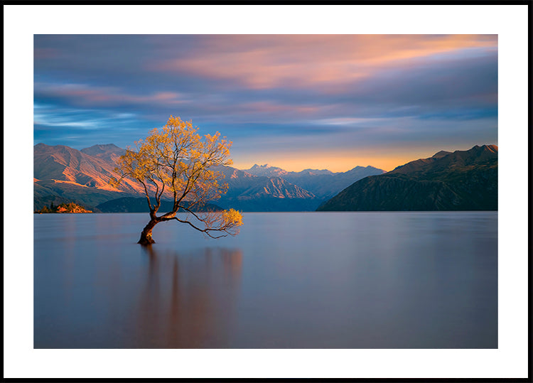 Morgenglühen-Poster