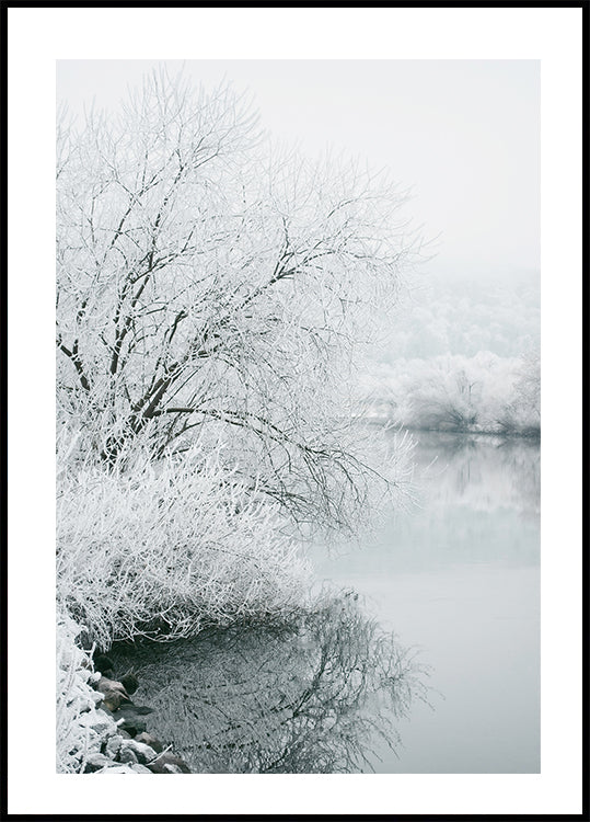 Winter Lake Plakat - Posterbox.dk