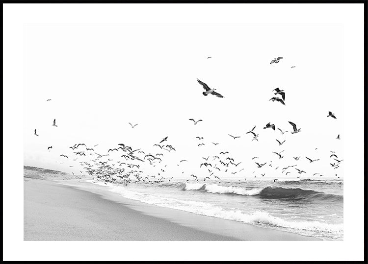 Seascape BW (NEU)