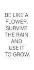 Like a Flower Plakat - Posterbox.no