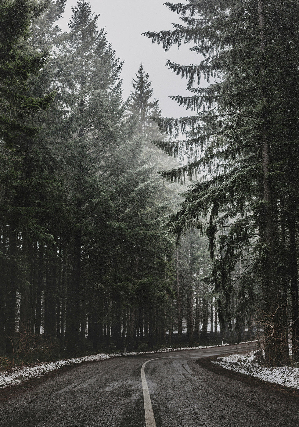 Poster Waldweg im Winter 